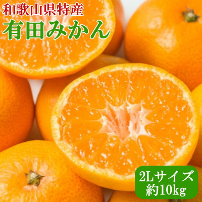 [秀品]和歌山有田みかん約10kg大玉(2Lサイズ)「2024年11月中旬より順次発送」(上富田町)