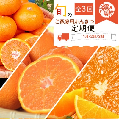 [発送月固定定期便]紀州和歌山産旬のご家庭用柑橘セット(みかん・不知火・清見)全3回[配送不可地域:離島]