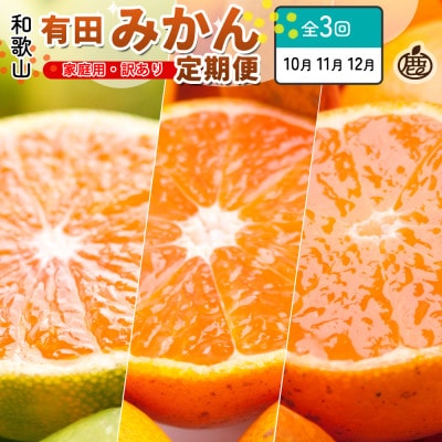 [発送月固定定期便]家庭用 柑橘定期便SS(10〜12月)全3回[配送不可地域:離島・北海道・沖縄県]