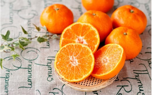  [和歌山県産] 旬をお届け！ 季節の「 温州 みかん 」 5kg ※箱込み 秀品 (極早生・早生・中生・晩稲)【S~2Lサイズおまかせ】【2025年10月中旬～2026年2月下旬までに順次発送】＜味好農園＞/ 蜜柑 柑橘 果物 フルーツ みかん 早生 極早生 中生 晩稲 【agy003A】 