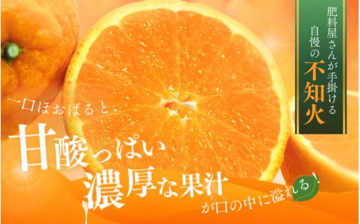  【先行予約】秀品 ハウス不知火 5kg【L～4Lのサイズおまかせ】【2026年1月下旬から2025年２月下旬頃に順次発送】＜味好農園＞/不知火 デコポン 蜜柑 みかん 柑橘 果物 フルーツ 【agy038】 