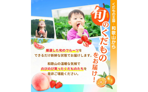 わかやま旬のくだもの定期便　全6回【Ｓ】（配送日時指定不可）※北海道・沖縄・離島への配送不可  / 定期便 フルーツ  いちご イチゴ 清見オレンジ すいか 桃 柿 みかん 6回【ard-tkb900A】