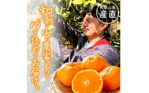わかやま 旬の くだもの 定期便【L】 全3回 / フルーツ まりひめ いちご 小玉 すいか ※北海道・沖縄・離島への配送不可 （配送日時指定不可） / 定期便 フルーツ みかん いちご すいか 【ard-tkb909】