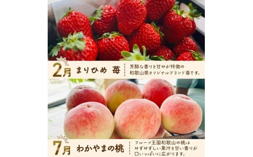 わかやま 旬の フルーツ 定期便 【L】全4回  ※北海道・沖縄・離島への配送不可 （配送日時指定不可）/ 有田みかん まりひめ いちご 桃 柿【ard-tkb911】