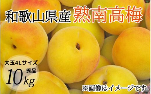 【梅干・梅酒用】大玉4Lサイズ約10kg熟南高 生梅 赤秀品＜2026年6月上旬～7月7日発送予定＞【ART02】/ 梅 梅干し ウメ 青梅 生梅 梅シロップ うめ 梅酒 和歌山 南高梅 フルーツ 果物 くだもの 食品 人気 おすすめ 送料無料【art022A】