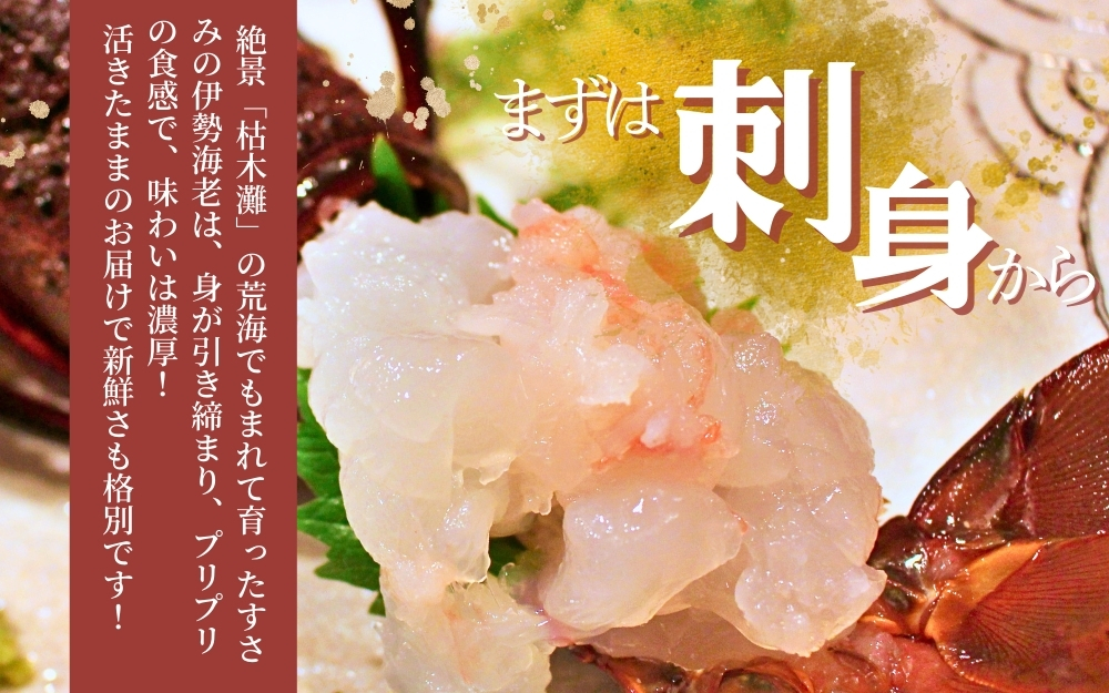 ＼期間限定・数量限定／ 南紀すさみの活き伊勢海老 約1kg(2～3匹)【日付指定必須】伊勢海老 伊勢エビ イセエビ 海老 えび エビ 活き 天然 すさみ町【eki109A】