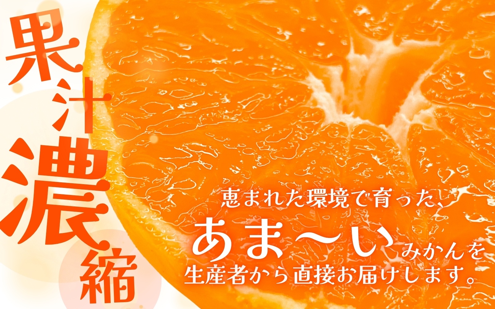 有田みかん 手選別 こだわりの和歌山県産 5kg (S～Lサイズ) 生産者直送 みかん フルーツ 柑橘 果物 蜜柑【hdm005】
