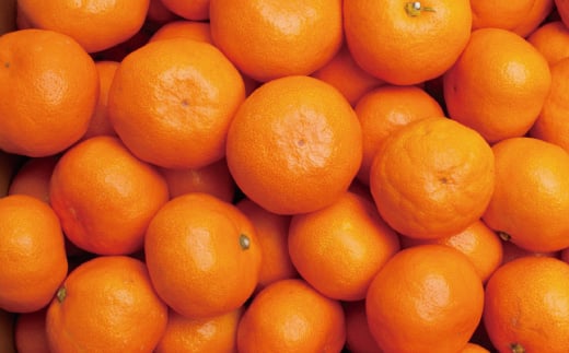 プレミアム有田みかん7.5kg+250g（傷み補償分）11月より発送(完熟)【光センサー選果】【ikd020C】