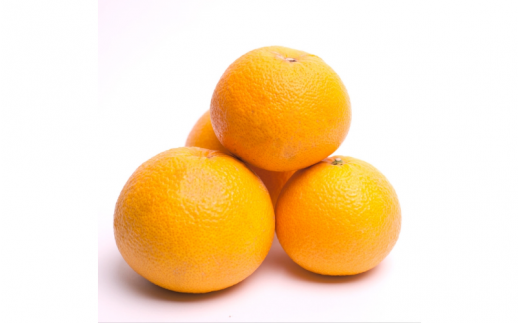 ＜先行予約＞家庭用はっさく5kg+250g（傷み補償分）【八朔みかん】＜1月より発送＞ ※北海道・沖縄・離島への配送不可【ikd140A】