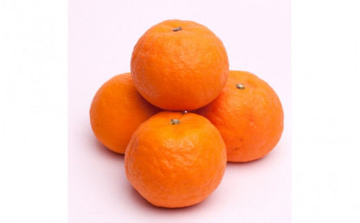 ＜4月より発送＞厳選 カラマンダリン2.5kg+75g（傷み補償分）【南津海・なつみ】【希少な春柑橘】【みかんと同じように食べられます】※北海道・沖縄・離島への配送不可【ikd150】