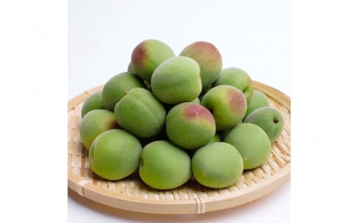 ＜6月発送＞厳選 紀州南高梅(青梅)2kg+60g（傷み補償分）【朝摘み・とれたて直送便】【梅干し・梅酒・梅ジュース】【和歌山産】 ※北海道・沖縄・離島への配送不可【ikd168】