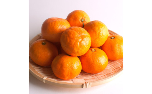 【先行予約】プレミアム有田みかん 1kg+250g（傷み補償分）11月より発送(完熟)【光センサー選果】※北海道・沖縄・離島配送不可 / みかん ミカン 蜜柑 フルーツ 果物 柑橘 有田みかん 有田【ikd214】