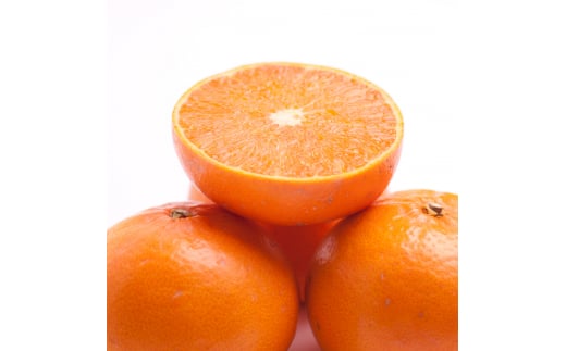 ＜2月より発送＞厳選 せとか 2.5kg+250g（傷み補償分）【柑橘・春みかんの王様】【光センサー選果・食べ頃出荷】 / みかん 果物 くだもの フルーツ 和歌山 わかやま おすすめ 人気 有田みかん 柑橘 ミカン セトカ【ikd233A】