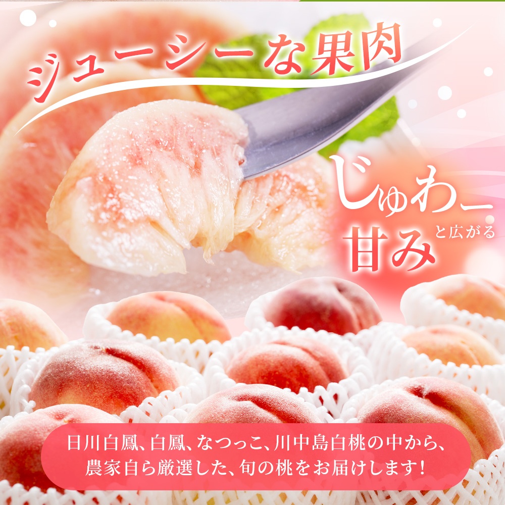 【先行予約】【厳選】あふれる果汁で口いっぱい！ 食べきりサイズ 和歌山県産 桃 3玉 2026年6月末頃～2026年8月末頃に順次発送予定（お届け日指定不可）/ 和歌山 桃 モモ フルーツ もも 白桃 果物 くだもの【kgr002】