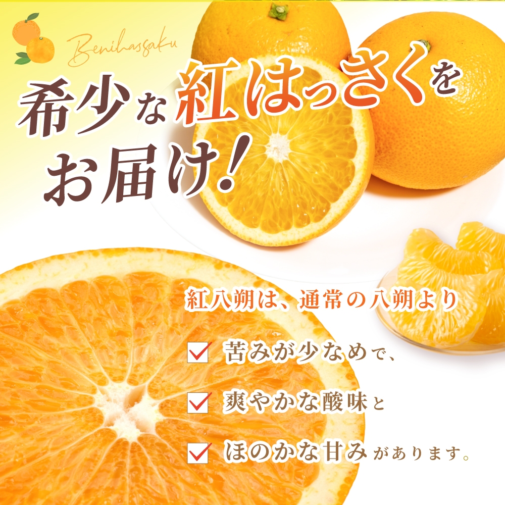 【先行予約】【数量わずか】あふれる果汁！ 希少な紅はっさく 秀品 5kg L～２L ※2026年1月初旬～2026年3月末頃に順次発送予定（お届け日指定不可）/ ハッサク 八朔 紅八朔 紅はっさく フルーツ 柑橘 蜜柑 果物 くだもの【kgr006A】