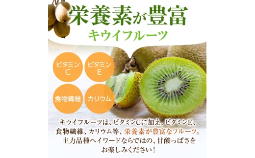 【先行予約】 先行予約！和歌山県産 秀品 キウイフルーツ 大玉15個入 こだわり農家厳選  【2026年12月中旬～2027年1月中旬頃に順次発送予定】/ キウイ キウイフルーツ 果物 フルーツ おやつ【kgr021】