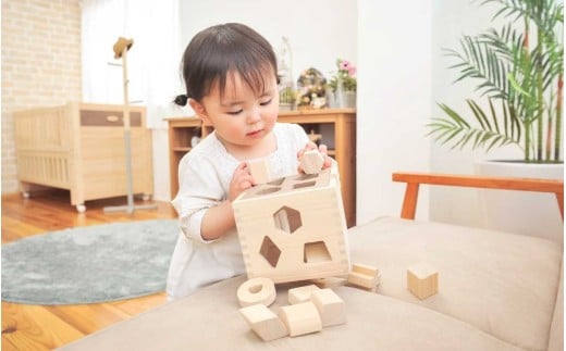 IKONIH ドロップボックス / おもちゃ 子供 こども オモチャ 玩具 プレゼント お祝い 木 出産祝い 安全 オーガニックトイ ファーストトイ ままごと おままごと キッチン アイコニー【kip023】