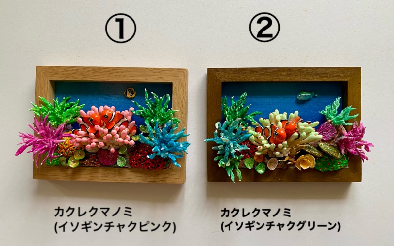 クマノミ各種　フレーム  /  魚 さかな フィッシュ 釣り 海 うみ クマノミ 海水魚 海の生き物 鍵 かぎ 家 車 自転車 かわいい お土産 雑貨 思い出 プレゼント ギフト すさみ 【mac007A】