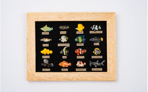 トロピカルフィッシュ16種　レリーフ  /  魚 さかな フィッシュ 釣り 海 うみ クマノミ 海水魚 海の生き物 鍵 かぎ 家 車 自転車 かわいい お土産 雑貨 思い出 プレゼント ギフト すさみ 【mac008A】