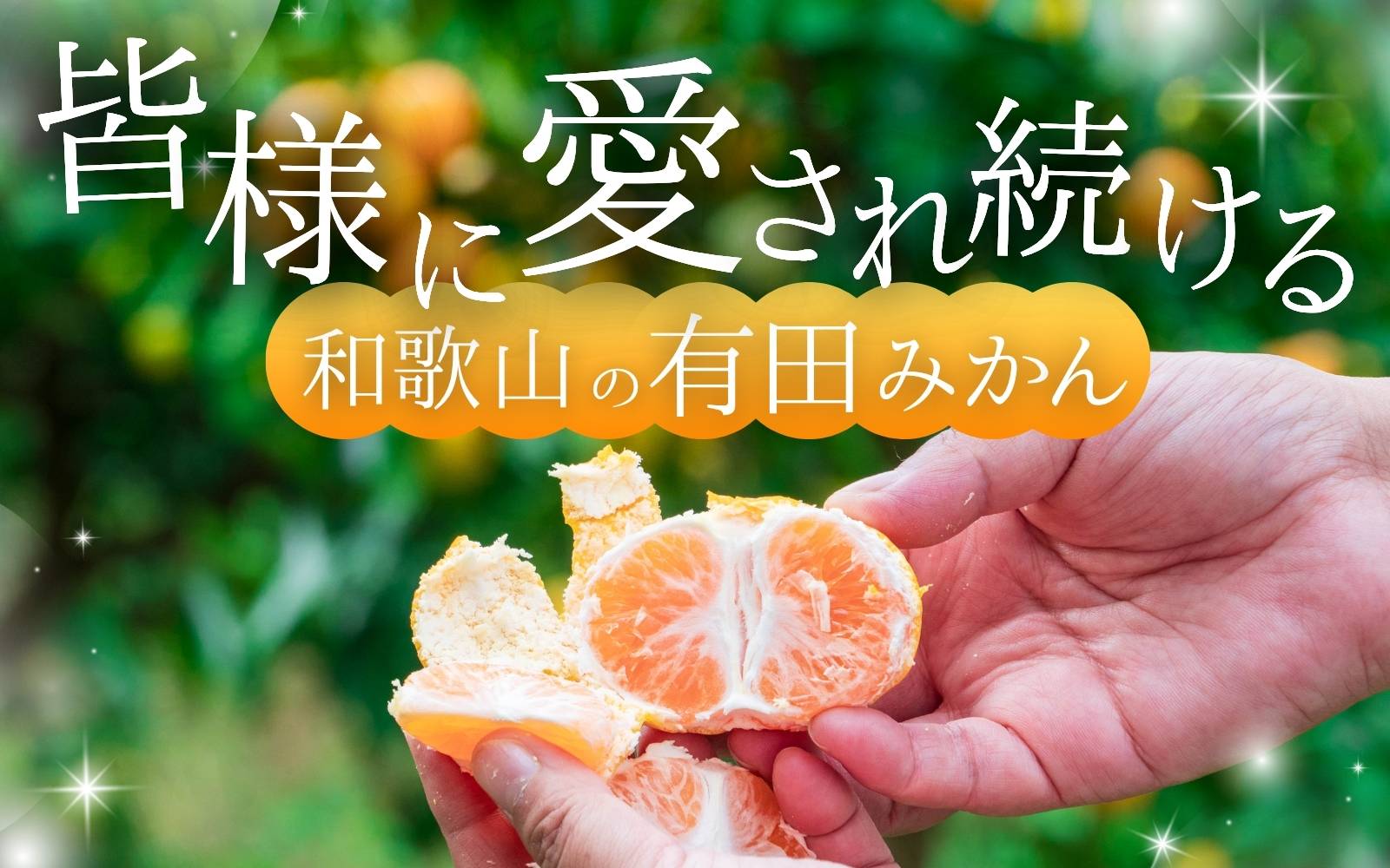 【2026年1月発送予約分】＼光センサー選別／ 【農家直送】【家庭用】こだわりの有田みかん 約6kg＋250g(傷み補償分) 先行予約 有機質肥料100% サイズ混合 【1月発送】みかん ミカン 有田みかん 温州みかん 柑橘 有田 和歌山 ※北海道・沖縄・離島配送不可 【nuk102-01】