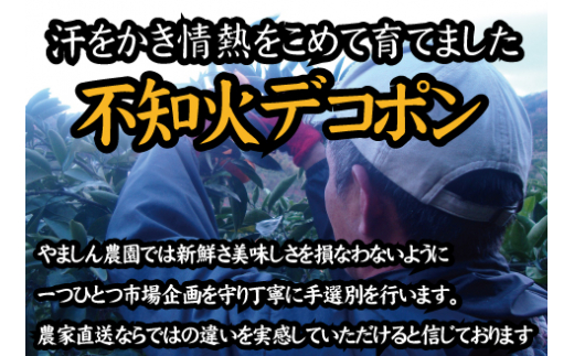 ＼農家直送／こだわりのデコポン不知火 約5kg 有機質肥料　※2026年2月中旬～4月中旬より順次発送予定（お届け日指定不可）【nuk111C】