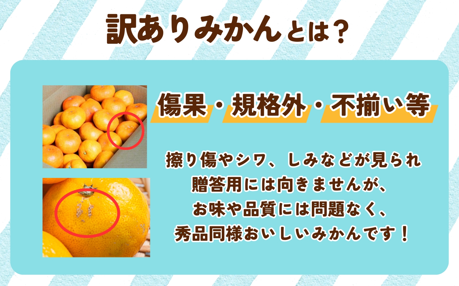 味はそのままたっぷり！【訳あり】 有田みかん 農家直送 約10kg ご家庭用 サイズ混合 みかん ミカン 果物 フルーツ 訳ありみかん 和歌山 オレンジ 有田ミカン 蜜柑 くだもの 柑橘 【nuk138H】