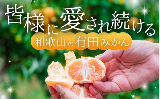 【2026年10月発送予約分】みかん 【家庭用】こだわりの有田みかん 約4kg＋250g(傷み補償分) ※サイズ混合※北海道・沖縄・離島配送不可 ＼光センサー選別／ 【農家直送】 有機質肥料100% みかん ミカン 有田みかん 温州みかん 柑橘 有田 和歌山 【nuk148-10】