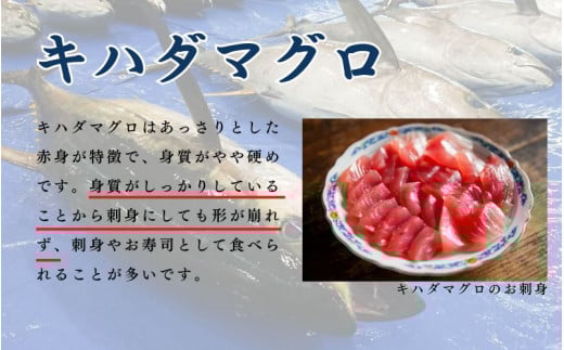 【訳あり】和歌山県すさみ産 天然生マグロ 冷凍 生 約200g×3個　マグロ 海鮮丼 鮪 寿司 海鮮 小分け 刺身 和歌山 すさみ町 キハダマグロ メバチマグロ 大容量【scp002B】
