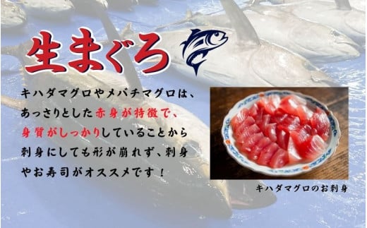 【訳あり】和歌山県すさみ産 天然生マグロ 冷凍 生 約200g×5個 / 海鮮丼 鮪 寿司 海鮮  小分け 刺身 和歌山 すさみ町 キハダマグロ メバチマグロ マグロ マグロ 大容量 【scp003B】