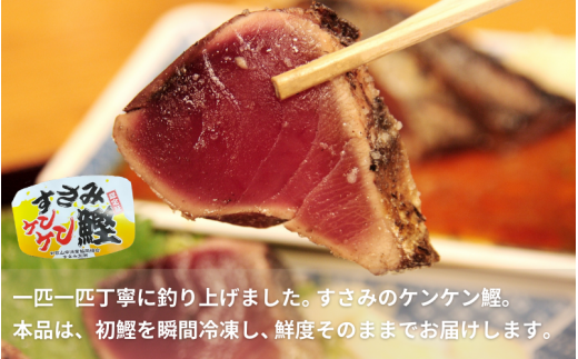 すさみケンケン鰹のたたき 約1kg / 鰹 かつおのたたき 刺身 天然 初ガツオ 初鰹 カツオのたたき 鰹 冷凍 真空 小分け 個包装 魚 和歌山県 鰹 鰹 すさみ町【scp012】