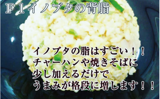【数量限定】F1イノブタ 背脂ブロック　約2キロ INOBUTA いのぶた 猪豚肉 ブロック【sff107】