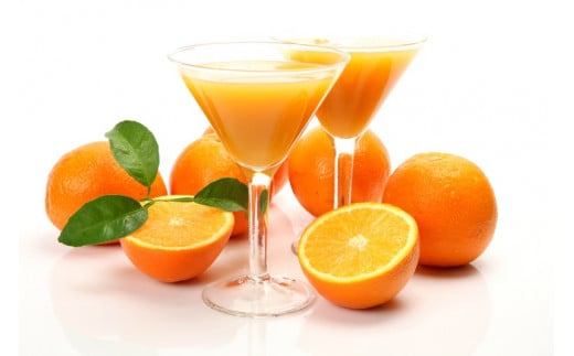 純黄金 900ml×2本 化粧箱入 / 和歌山みかんジュース 無添加ストレート果汁 紀伊国屋文左衛門本舗【sutb001】