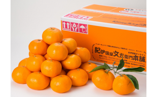 【予約受付】ブランド有田みかん　秀品5キロ/サイズお任せ　※2025年10月下旬～2026年1月中旬頃発送予定（お届け日指定不可）　紀伊国屋文左衛門本舗【sutb140C】
