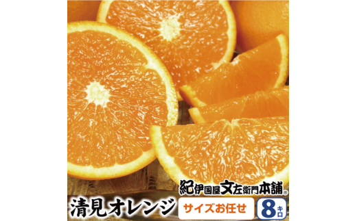 清見オレンジ約8kg/果実サイズおまかせ※2026年2月中旬～4月下旬頃発送予定　　　紀伊国屋文左衛門本舗【sutb401C】