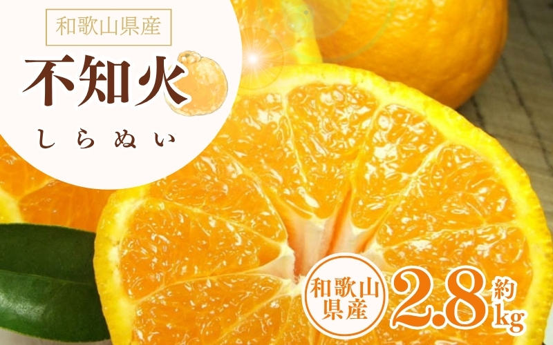 デコ不知火（デコポン） 約2.8kg/サイズおまかせ　※2026年2月上旬～4月上旬頃に順次発送予定(お届け日指定不可)　紀伊国屋文左衛門本舗　【sutb421C】