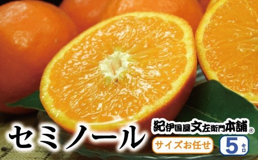 セミノールオレンジ 約5kg/サイズおまかせ　※2026年4月中旬～5月下旬頃に順次発送予定(お届け日指定不可)　紀伊国屋文左衛門本舗　【sutb481B】