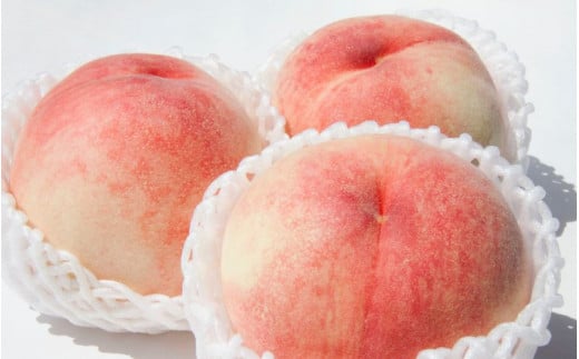 【産直・人気の特産品】和歌山の桃 約2kg 秀品 　※2026年6月下旬～2026年8月上旬頃次発送 / もも モモ フルーツ 果物 くだもの 人気 甘い 和歌山【tec910B】