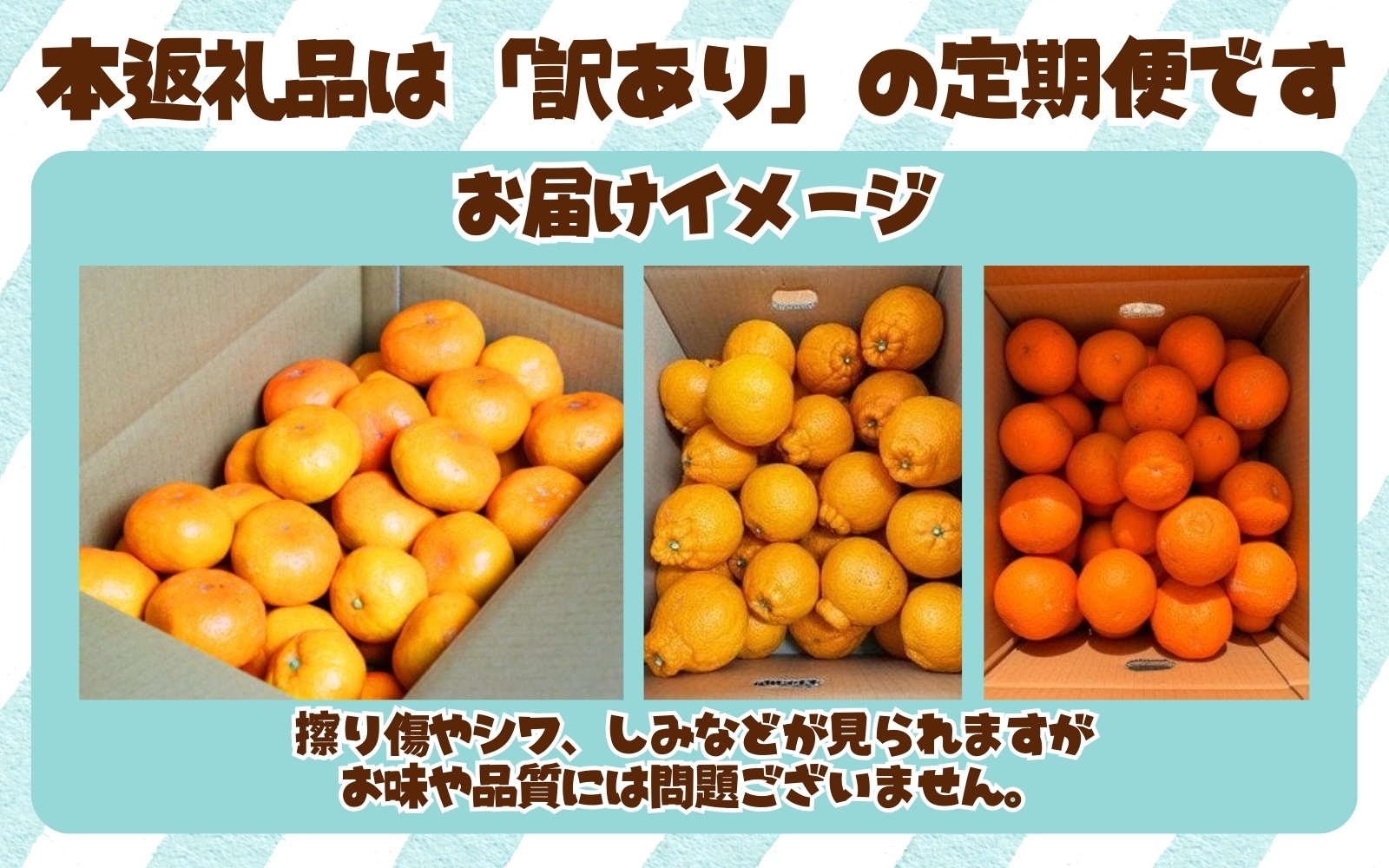 【3か月定期便】たっぷり届く♪訳ありみかんの定期便 / 訳あり 有田みかん 果物 フルーツ 柑橘 みかん ミカン くだもの 定期便 訳ありみかん 和歌山 オレンジ 有田ミカン 蜜柑 【tkb113】
