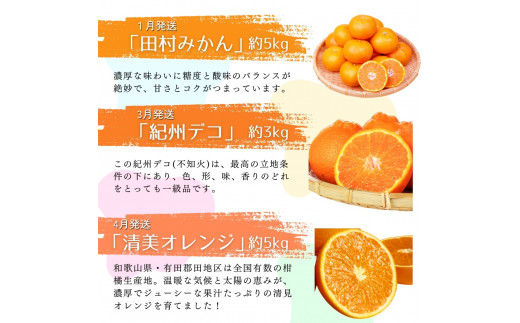 【全6回】旬のフルーツ定期便 【田村みかん 紀州デコ(不知火) 清見オレンジ 小玉スイカ 桃 ゆら早生みかん】 和歌山の旬をお届け / みかん ミカン 温州みかん 有田みかん 不知火 デコポン 桃【tkb314】