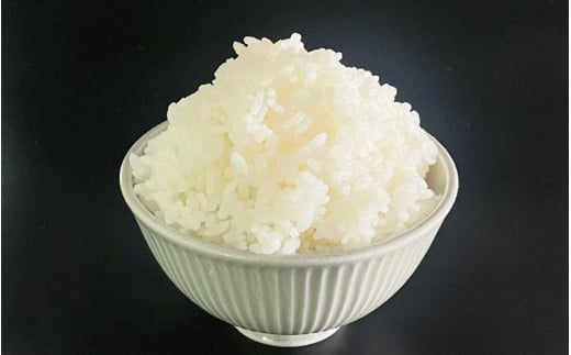 【先行予約】佐本川の清流で育てた 「 佐本清流米（コシヒカリ） 」 10kg / お米 米 コメ こめ 新米 ご飯 白ごはん 白米 コシヒカリ 和歌山県 すさみ町【tko102A】