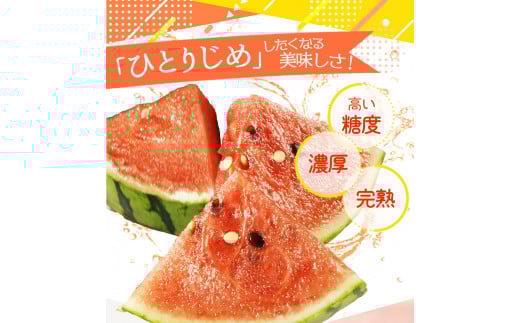 【先行予約】 紀州和歌山産 小玉スイカ「ひとりじめ」1玉 ※2026年6月上旬頃〜7月上旬頃に順次発送予定(お届け日指定不可) スイカ すいか 果物 くだもの フルーツ【uot778】