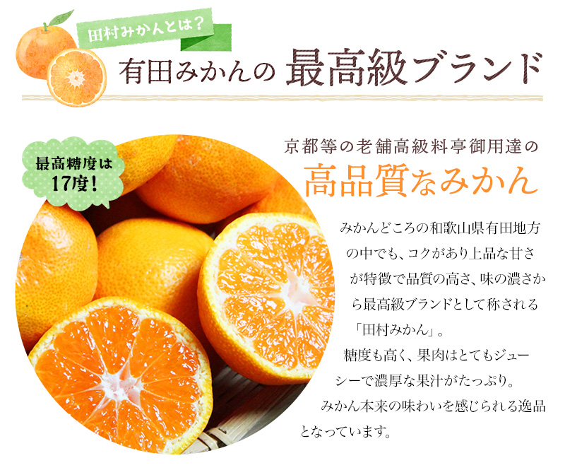 【先行予約】高級ブランド 秀品 紀州有田田村産みかん 3kg ※2025年12月頃〜2026年1月下旬頃に順次発送予定 / みかん ミカン 蜜柑 温州みかん 柑橘 フルーツ 果物 【uot848】