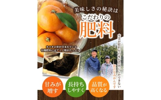  [和歌山県産] 旬をお届け！ 季節の「 温州 みかん 」 2kg ※箱込み 秀品 (極早生・早生・中生・晩稲)【S~2Lサイズおまかせ】【2025年10月中旬～2026年2月下旬までに順次発送】＜味好農園＞/ 蜜柑 柑橘 果物 フルーツ みかん 早生 極早生 中生 晩稲 【agy028】 