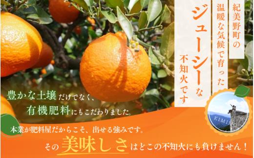  【先行予約】秀品 ハウス不知火 2kg※箱込み【L～4Lのサイズおまかせ】【2026年1月下旬から2026年２月下旬頃に順次発送】＜味好農園＞/不知火 デコポン 蜜柑 みかん 柑橘 果物 フルーツ 【agy039】 