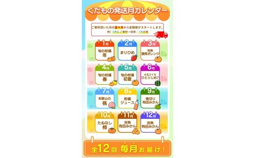 【全12回定期便】 わかやま旬のくだもの定期便 【Ｓ】 （配送日時指定不可）  / 定期便 フルーツ みかん いちご イチゴ 清見オレンジ セミノール 河内晩柑 カラマンダリン すいか 桃 ジュース みかん 柿 完熟みかん【ard-tkb901A】
