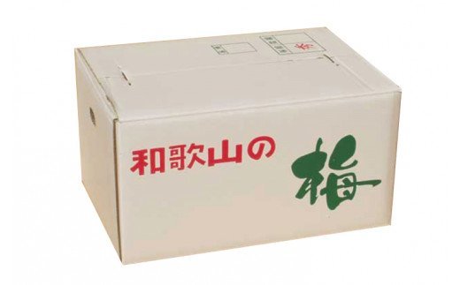 【先行予約】【梅干・梅酒用】（4Lまたは3L－2Kg）熟南高梅＜2026年6月上旬～7月7日発送予定＞【ART10】/梅 ウメ 梅干し うめ 干し梅 青梅 フルーツ 果物 くだもの 食品 人気 おすすめ 送料無料【art006B】