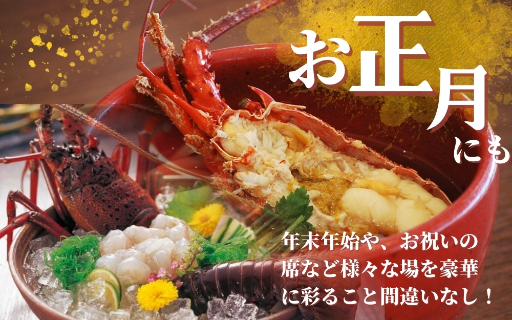 ＼期間限定・数量限定／ 南紀すさみの活き伊勢海老 約1kg(2～3匹)【日付指定必須】伊勢海老 伊勢エビ イセエビ 海老 えび エビ 活き 天然 すさみ町【eki109A】