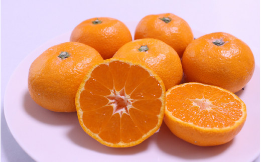 【大玉】有田 みかん 5kg(2L-3L)【hdm001-1A】