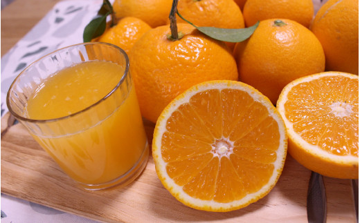 【先行予約】 ＼ みかんの名産地 和歌山県産／ 農家直送 完熟清見オレンジ 5kg (M～２Lサイズおまかせ) ひとつひとつ手選別で厳選【2026年3月中旬頃発送予定】/ みかん くだもの 果物 オレンジ 和歌山 有田みかん【hdm003A】