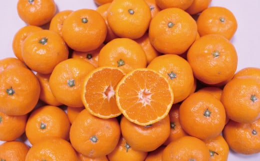 こだわりの和歌山県産 有田みかん 3kg（S～Lサイズ） ひとつひとつ手選別で厳選！生産者から直送 【2025年11月中旬～翌年1月中旬頃に順次発送分】 みかん みかん みかん みかん みかん 【hdm004A】